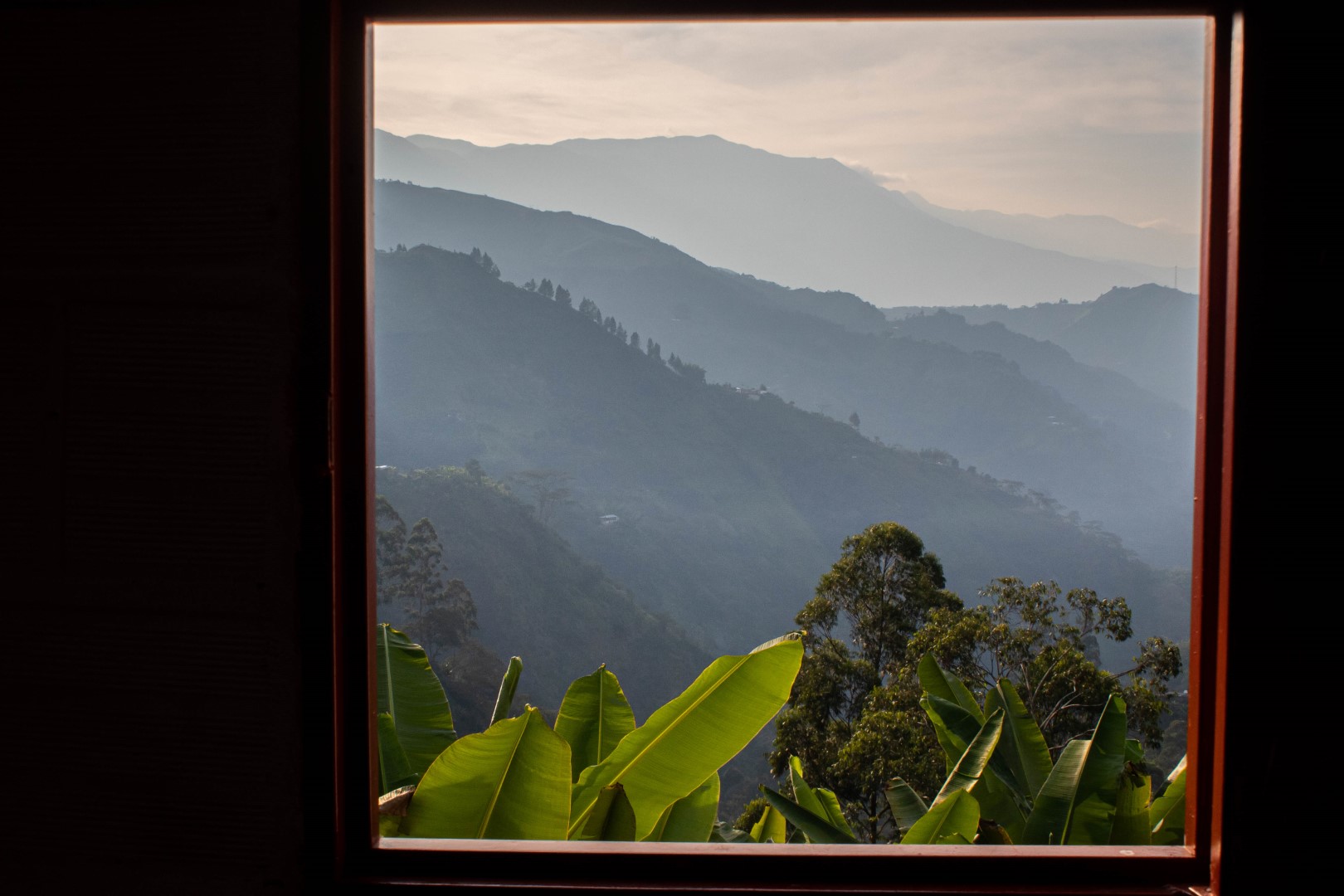 Regional Eje Cafetero